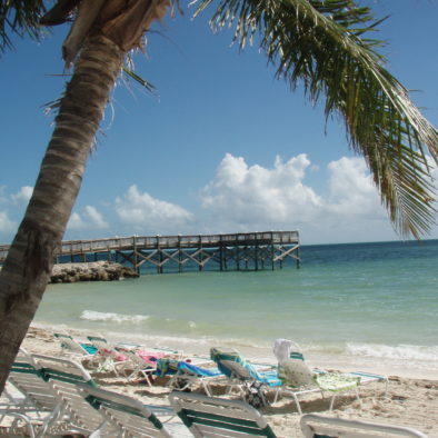 Florida Strand mit Palme