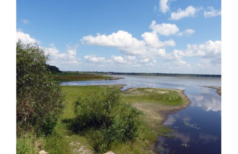 Myakka River State Park Florida