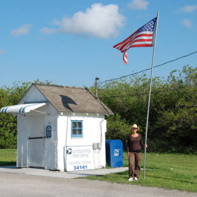 Haus mit Amerika Flagge