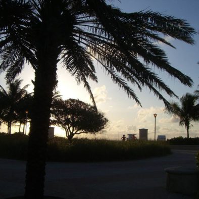 Sonnenuntergang Palmen und Strand Florida