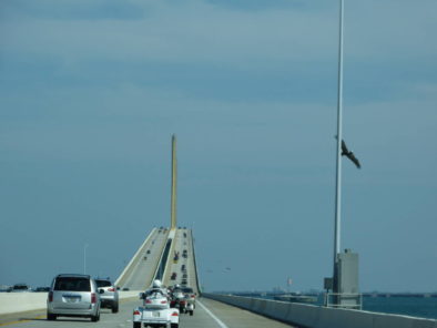 Sunshine Skyway Bridge