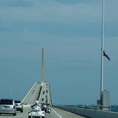 Sunshine Skyway Bridge